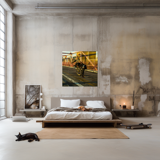 Brian Finke - Untitled #2 (Bike Life)