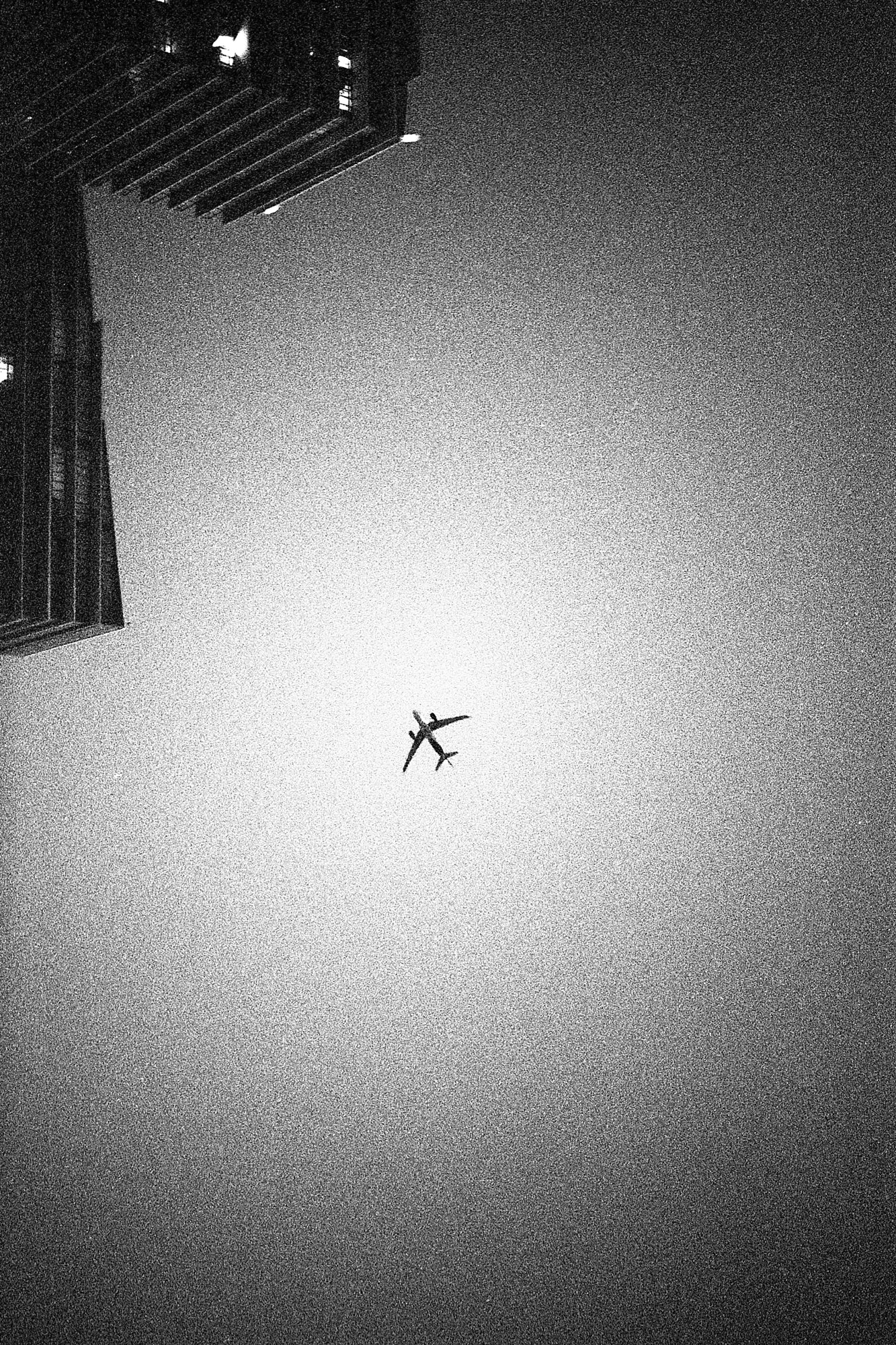 Stefano Lemon - Untitled