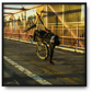 Brian Finke - Untitled #2 (Bike Life)