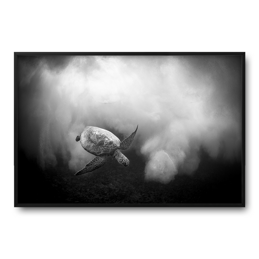 Damien Poullenot - Turtle Foam