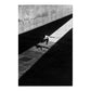 Fred Mortagne - Untitled #8